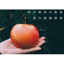 【花旗參篇】花旗參人參燉白鴿