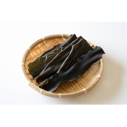 【海帶篇】人類恩物